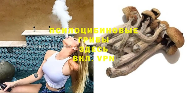 ПСИЛОЦИБИНОВЫЕ ГРИБЫ Абинск