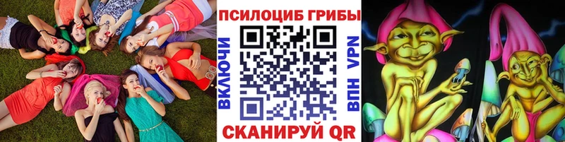 Галлюциногенные грибы мицелий  дарк нет клад  мега как войти  Нальчик  дарнет шоп 